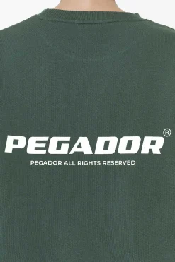 Pegador Sweaters|Aelva Logo Heavy Oversized Crew Neck Washed Sage Green