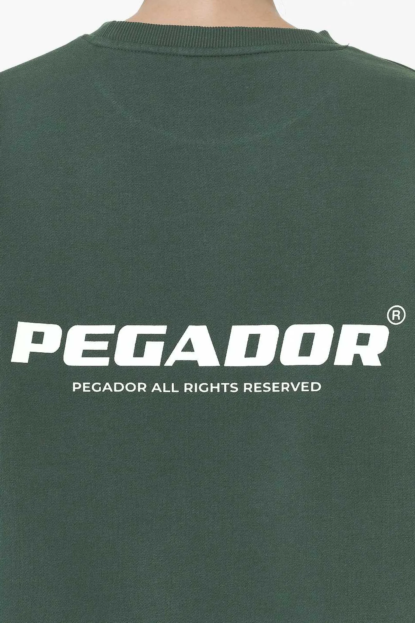 Pegador Sweaters|Aelva Logo Heavy Oversized Crew Neck Washed Sage Green