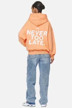 Pegador Hoodies|Zip Hoodies|Airville Oversized Zip Hoodie Washed Apricot