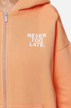 Pegador Hoodies|Zip Hoodies|Airville Oversized Zip Hoodie Washed Apricot