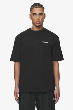 Pegador Tees|Aleso Oversized Tee Washed black