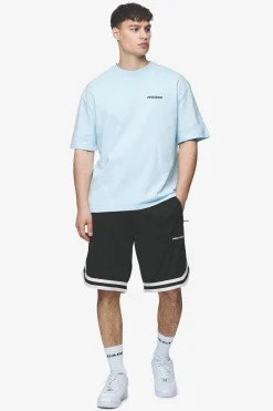 Pegador Tees|Aleso Oversized Tee Washed baby blue