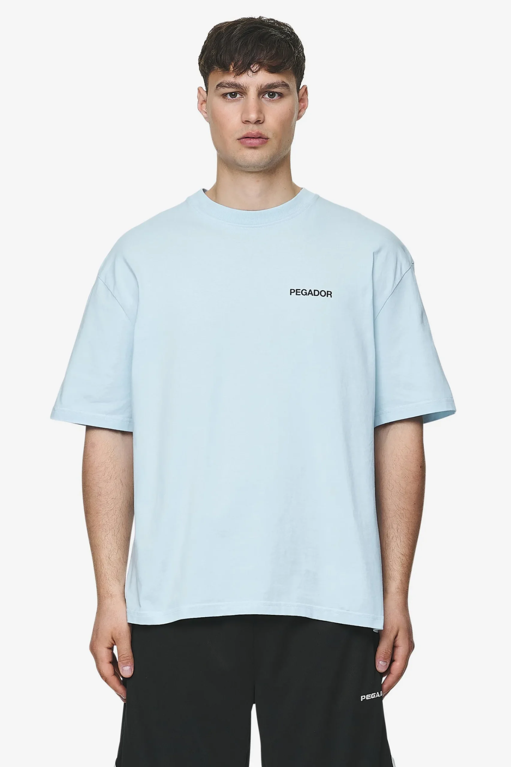 Pegador Tees|Aleso Oversized Tee Washed baby blue