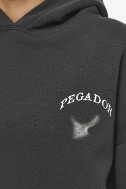 Pegador Hoodies|Angel Oversized Hoodie Vintage Washed Iron Grey