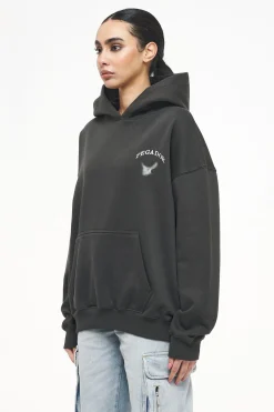 Pegador Hoodies|Angel Oversized Hoodie Vintage Washed Iron Grey
