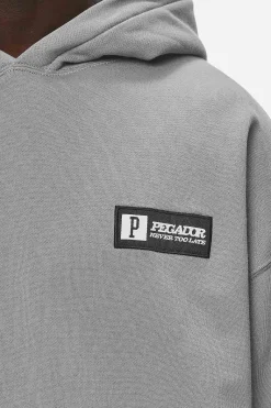 Pegador Hoodies|Antigua Oversized Hoodie Washed Cool Grey