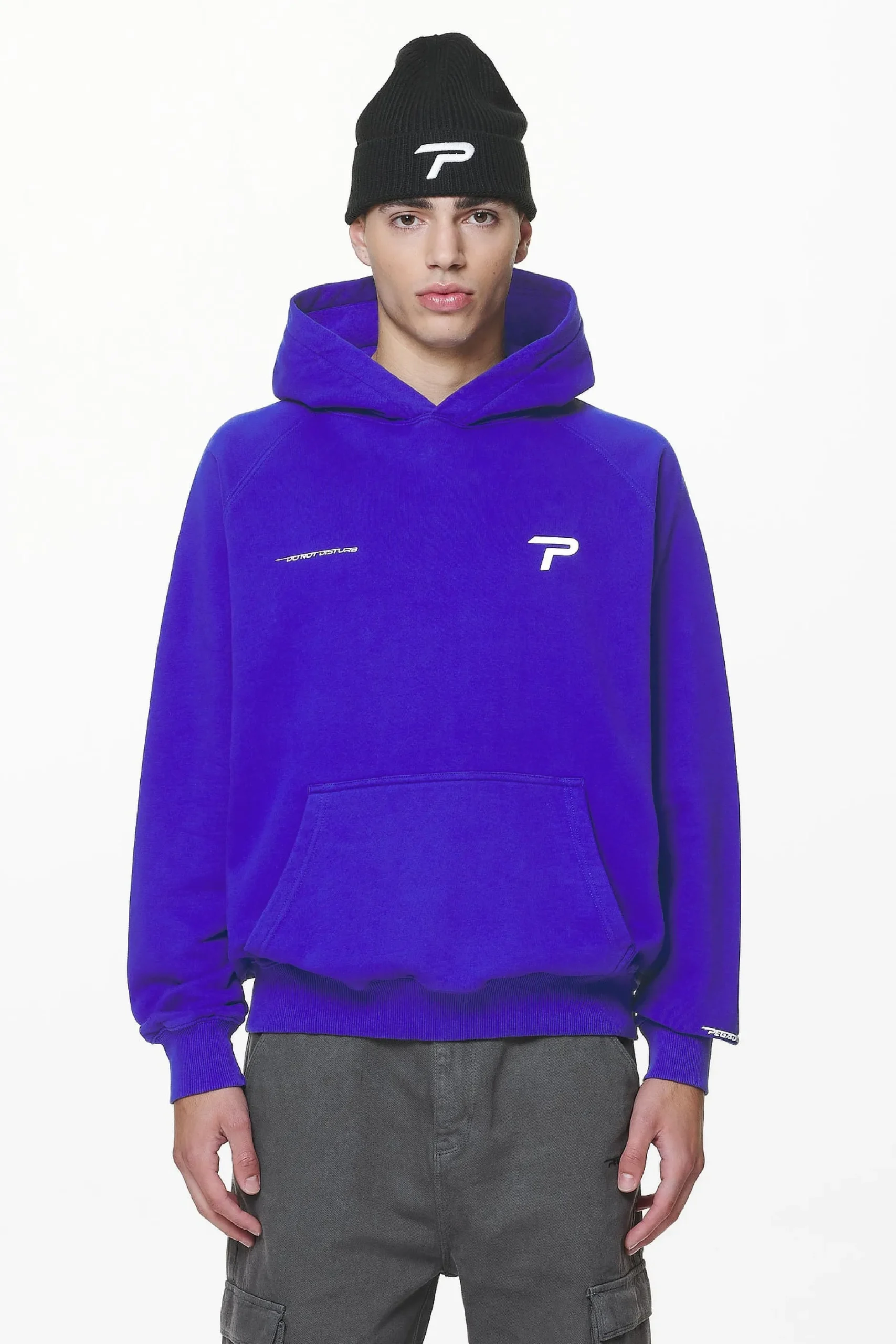 Pegador Hoodies|Barone Raglan Hoodie Washed Endless Blue