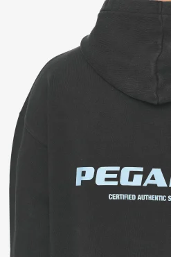 Pegador Hoodies|Colne Logo Oversized Hoodie Baby Blue Vintage black