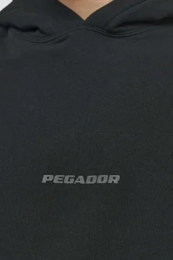 Pegador Hoodies|Colne Logo Oversized Hoodie Vintage Washed Black Ink Gum
