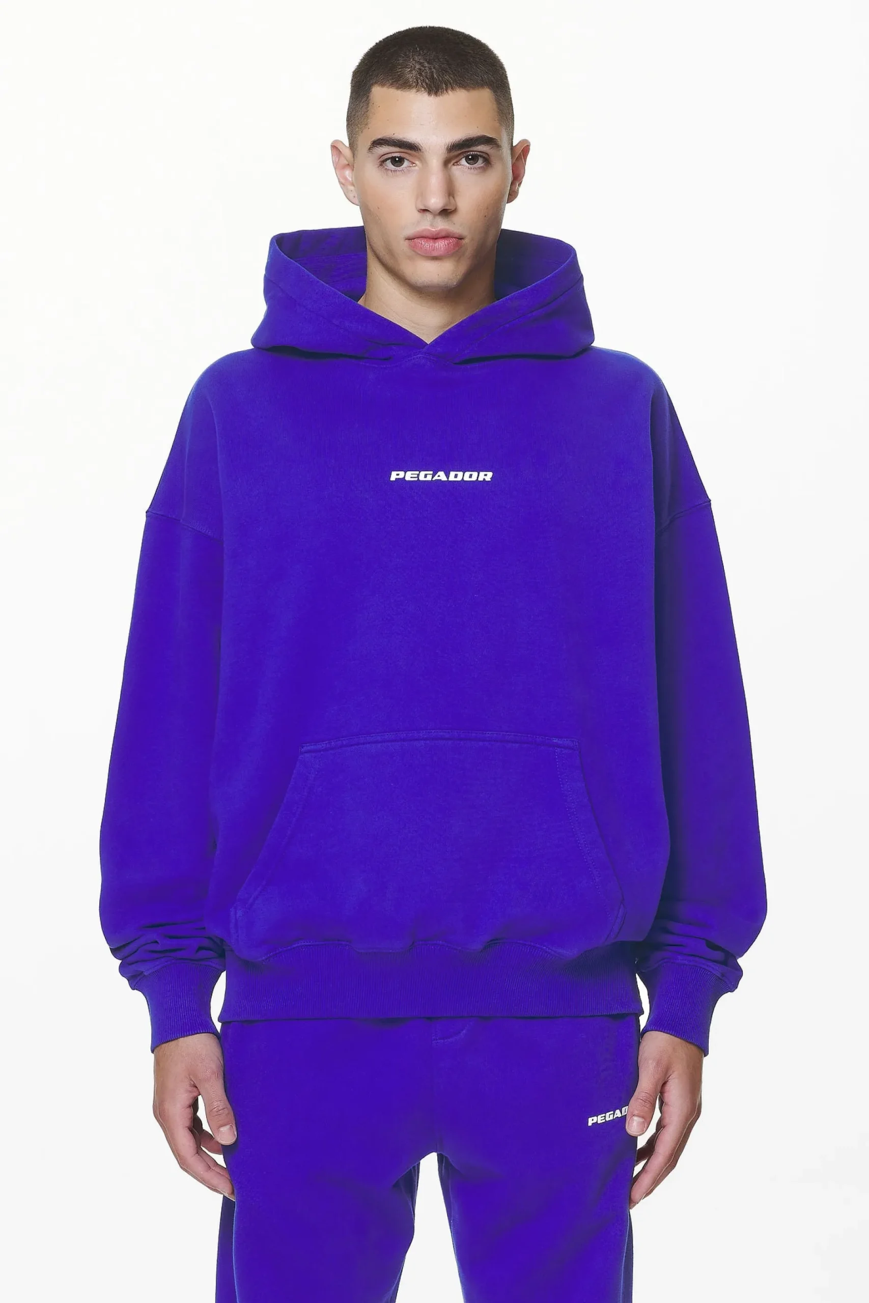 Pegador Hoodies|Colne Logo Oversized Hoodie Washed Endless Blue