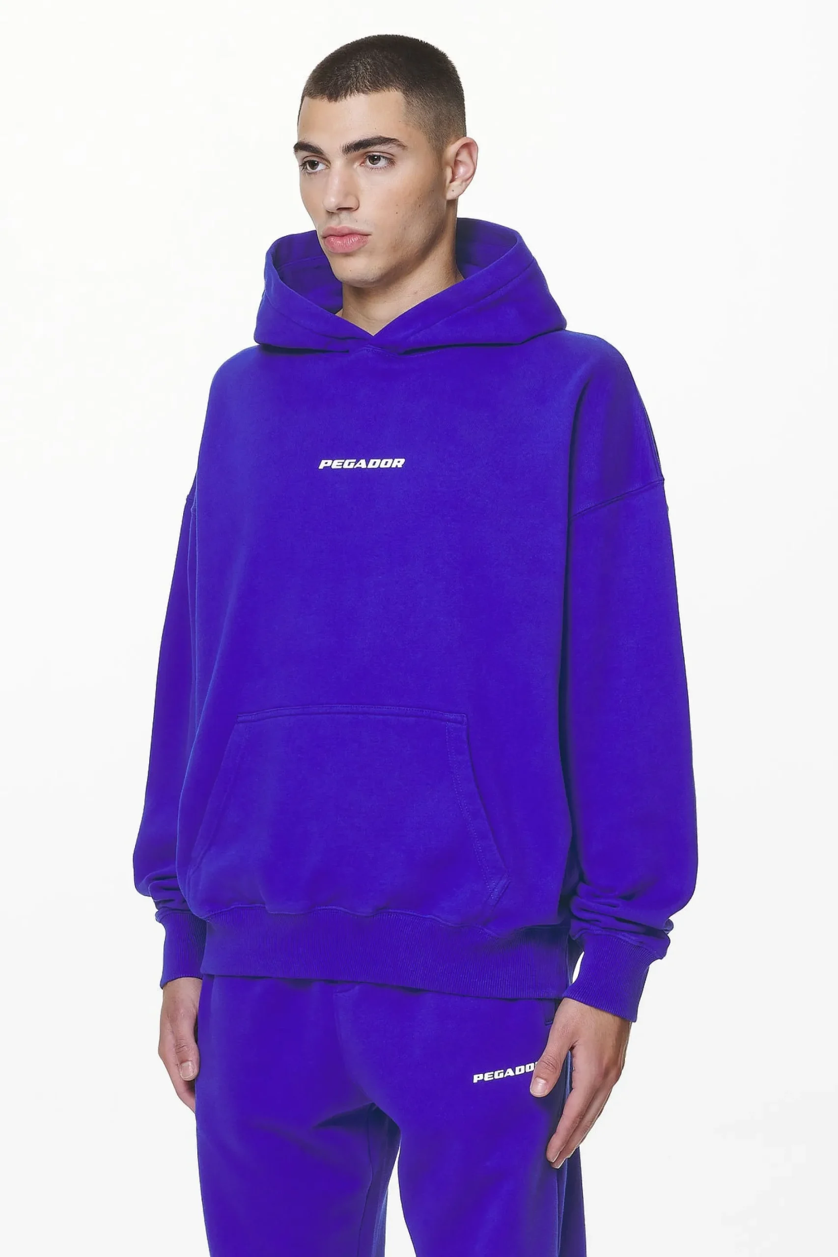 Pegador Hoodies|Colne Logo Oversized Hoodie Washed Endless Blue