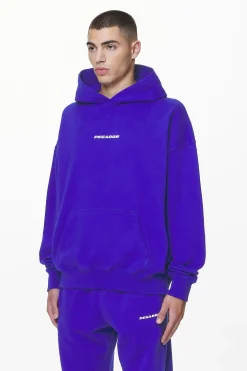 Pegador Hoodies|Colne Logo Oversized Hoodie Washed Endless Blue