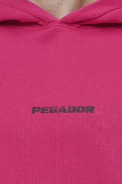 Pegador Hoodies|Colne Logo Oversized Hoodie Washed Virtual Pink Black