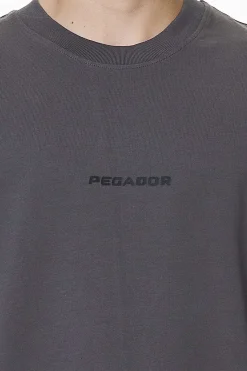 Pegador Tees|Colne Logo Oversized Tee Washed Volcano Grey
