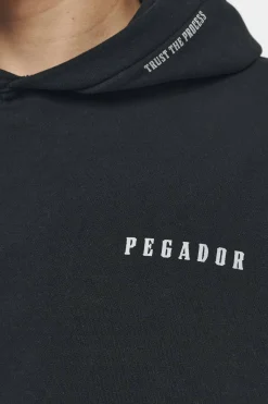 Pegador Hoodies|Dinmont Oversized Hoodie Vintage Washed Black Ink