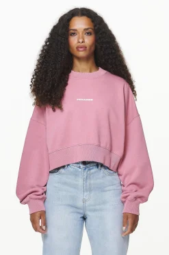 Pegador Sweaters|Dorothy Cropped Oversized Sweater Vintage Washed Rust Pink