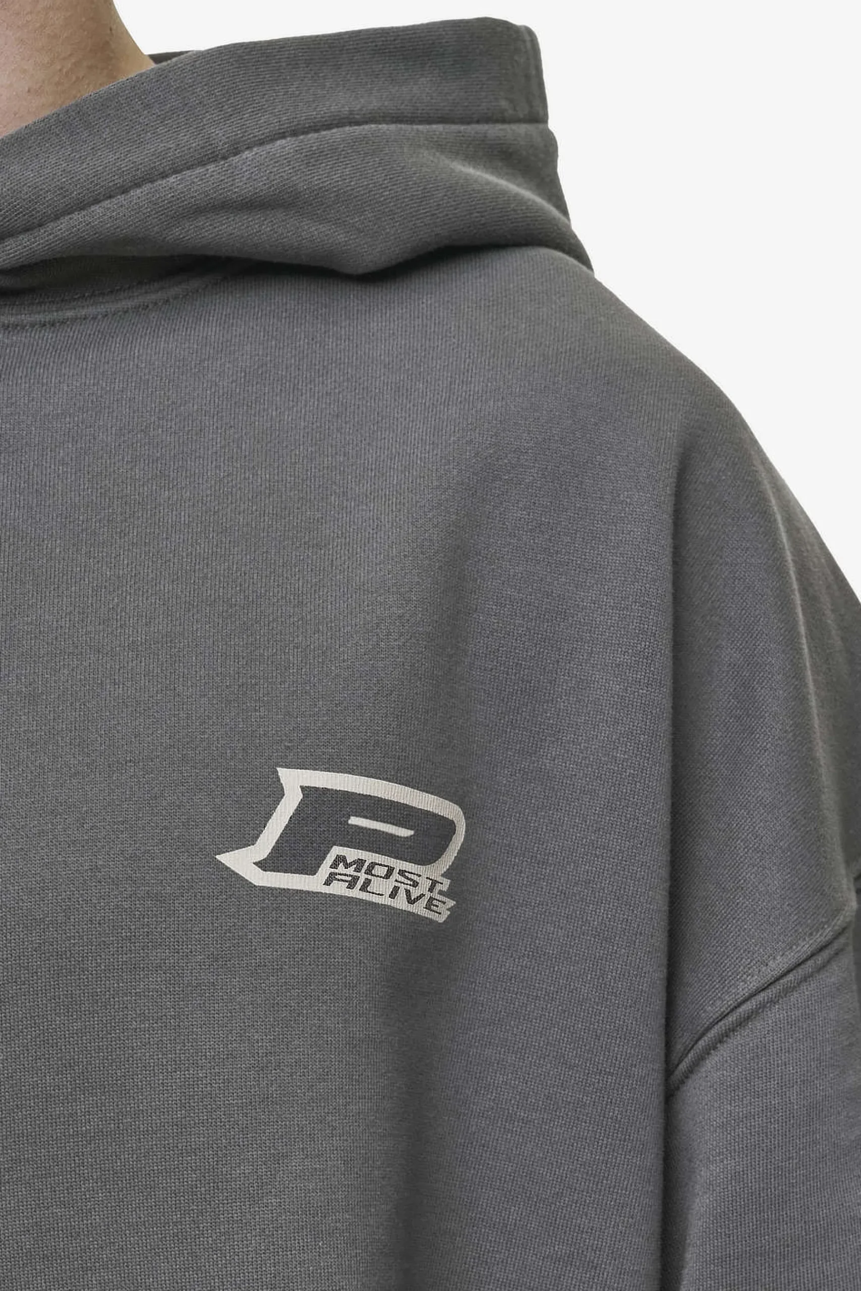 Pegador Hoodies|Fox Oversized Hoodie Washed Anthracite