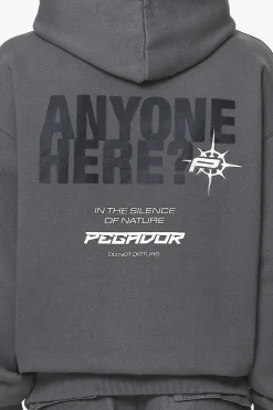 Pegador Hoodies|Gien Oversized Hoodie Washed Volcano Grey