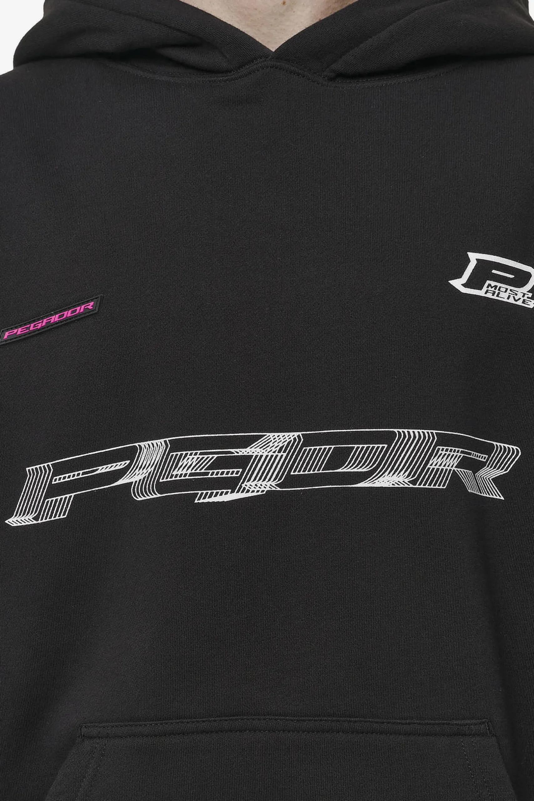 Pegador Hoodies|Iron Boxy Hoodie Washed Black