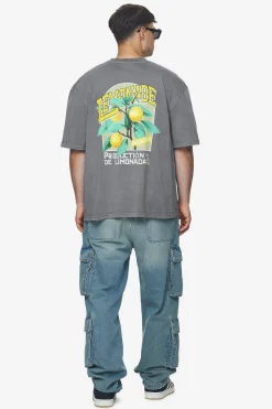 Pegador Tees|Kort Oversized Tee Vintage grey