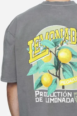 Pegador Tees|Kort Oversized Tee Vintage grey