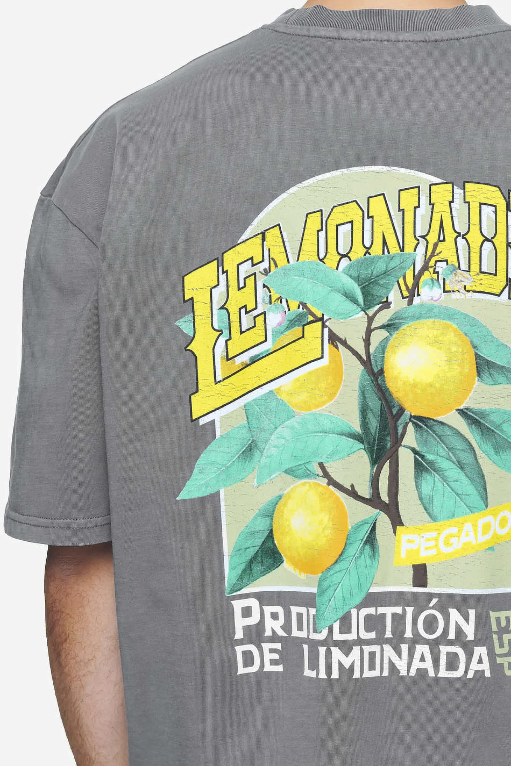 Pegador Tees|Kort Oversized Tee Vintage grey
