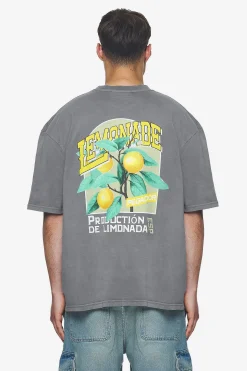 Pegador Tees|Kort Oversized Tee Vintage grey