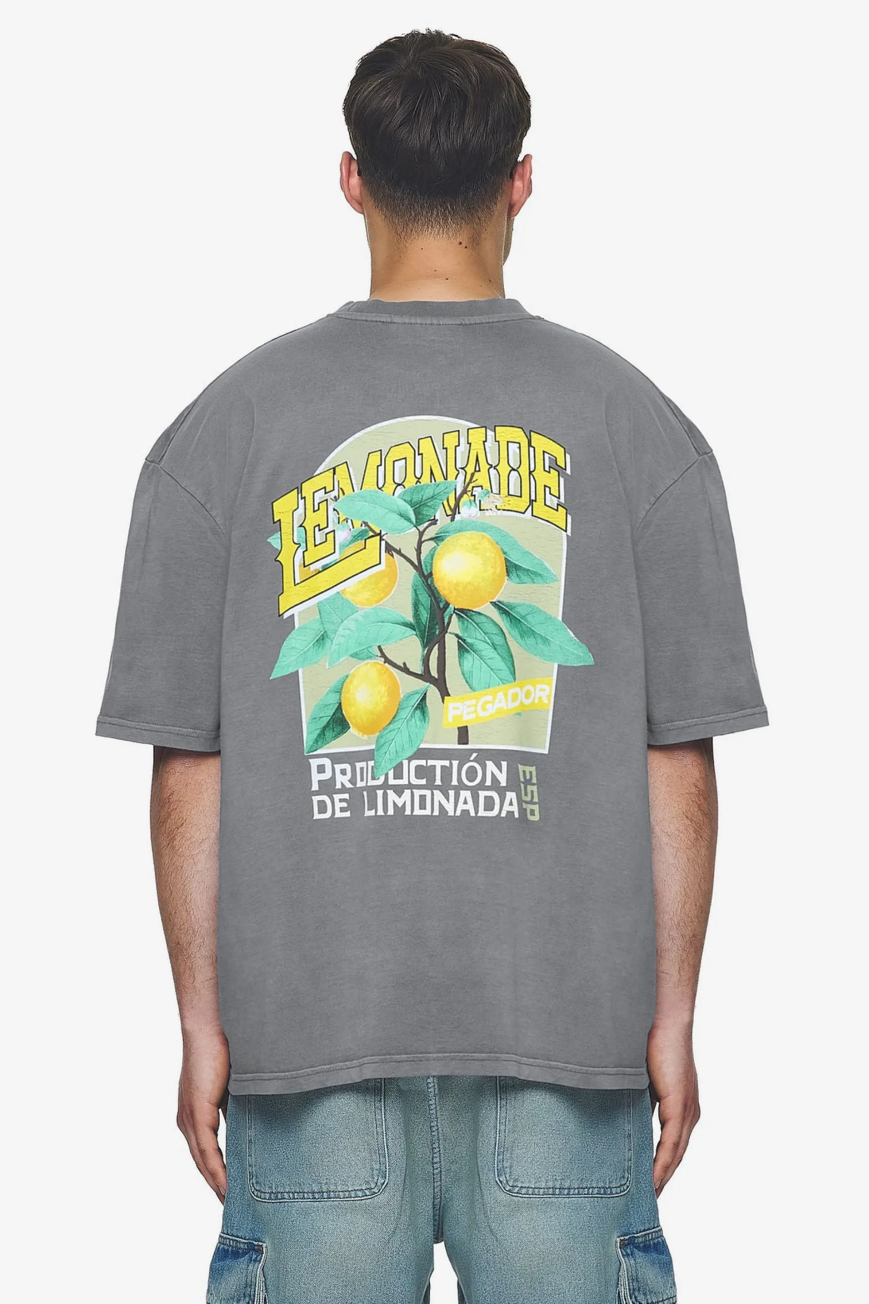 Pegador Tees|Kort Oversized Tee Vintage grey