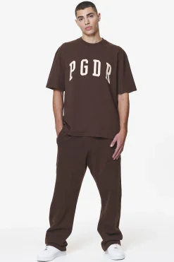 Pegador Tees|Layton Oversized Tee Washed Oak Brown