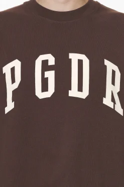 Pegador Tees|Layton Oversized Tee Washed Oak Brown