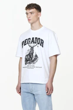 Pegador Tees|Lizard Oversized Tee White