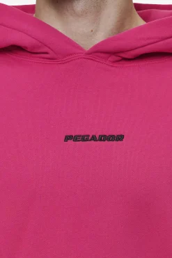 Pegador Hoodies|Logo Boxy Hoodie Washed Virtual Pink