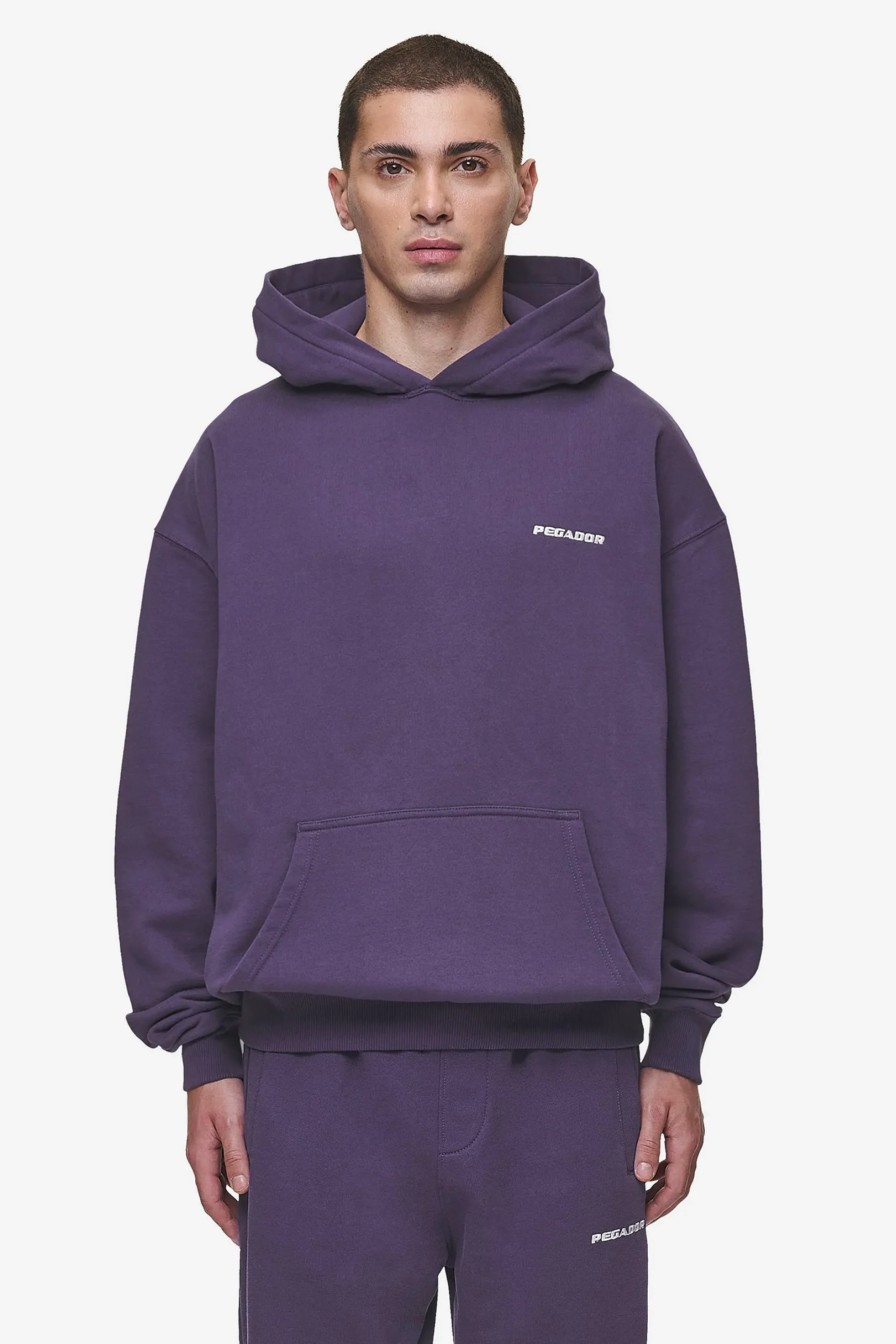 Pegador Hoodies|Logo Oversized Hoodie Washed Deep Purple