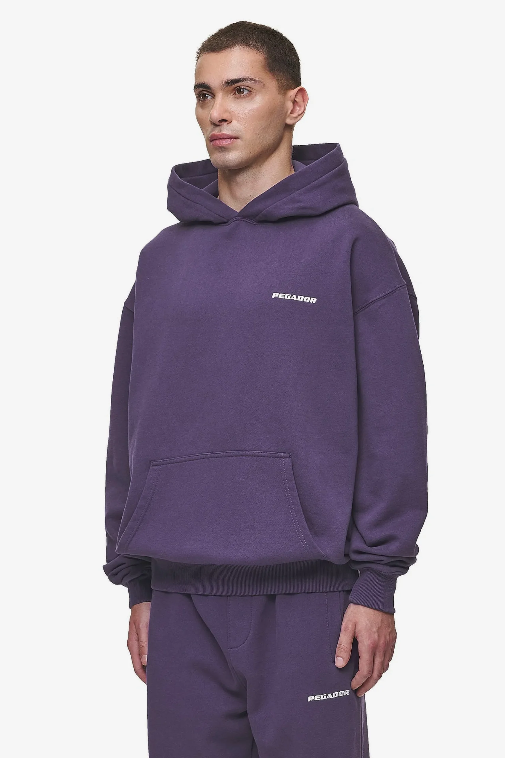 Pegador Hoodies|Logo Oversized Hoodie Washed Deep Purple