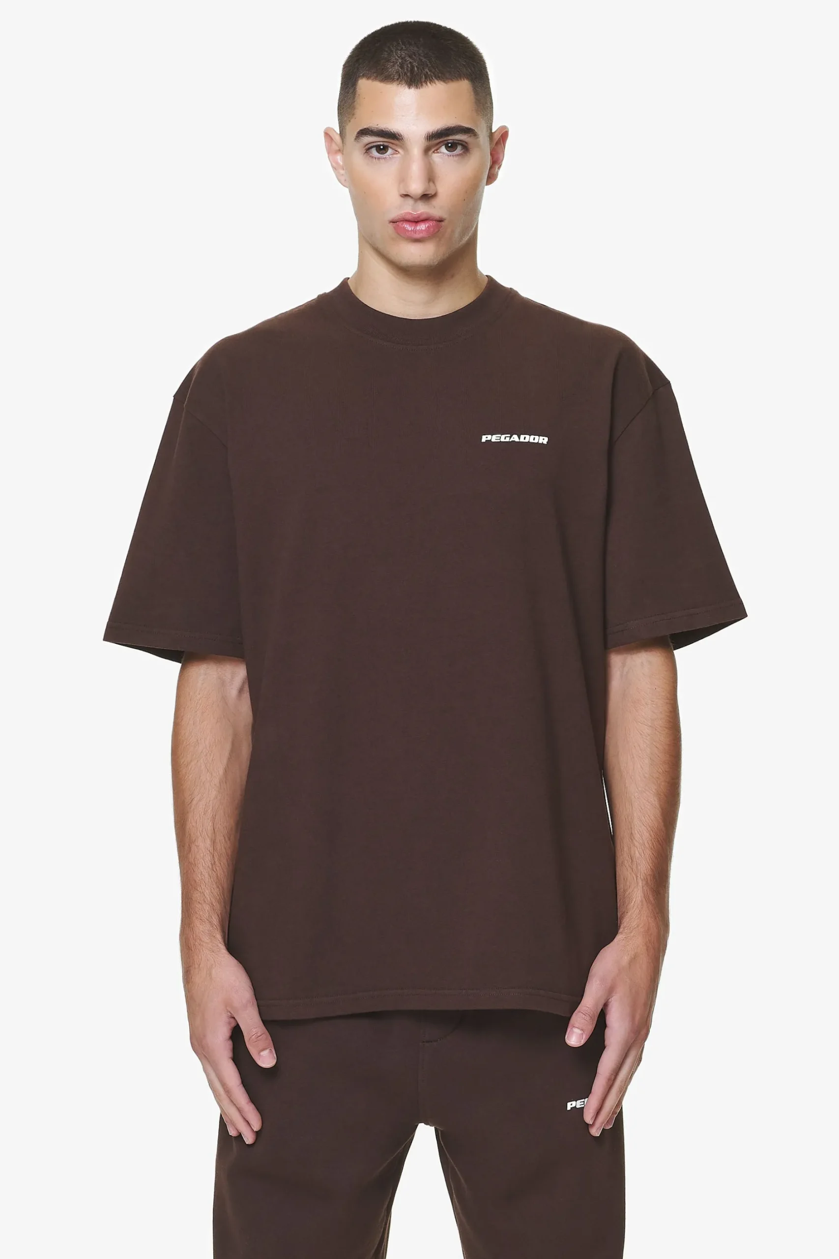 Pegador Tees|Logo Oversized Tee Gum Washed oak brown