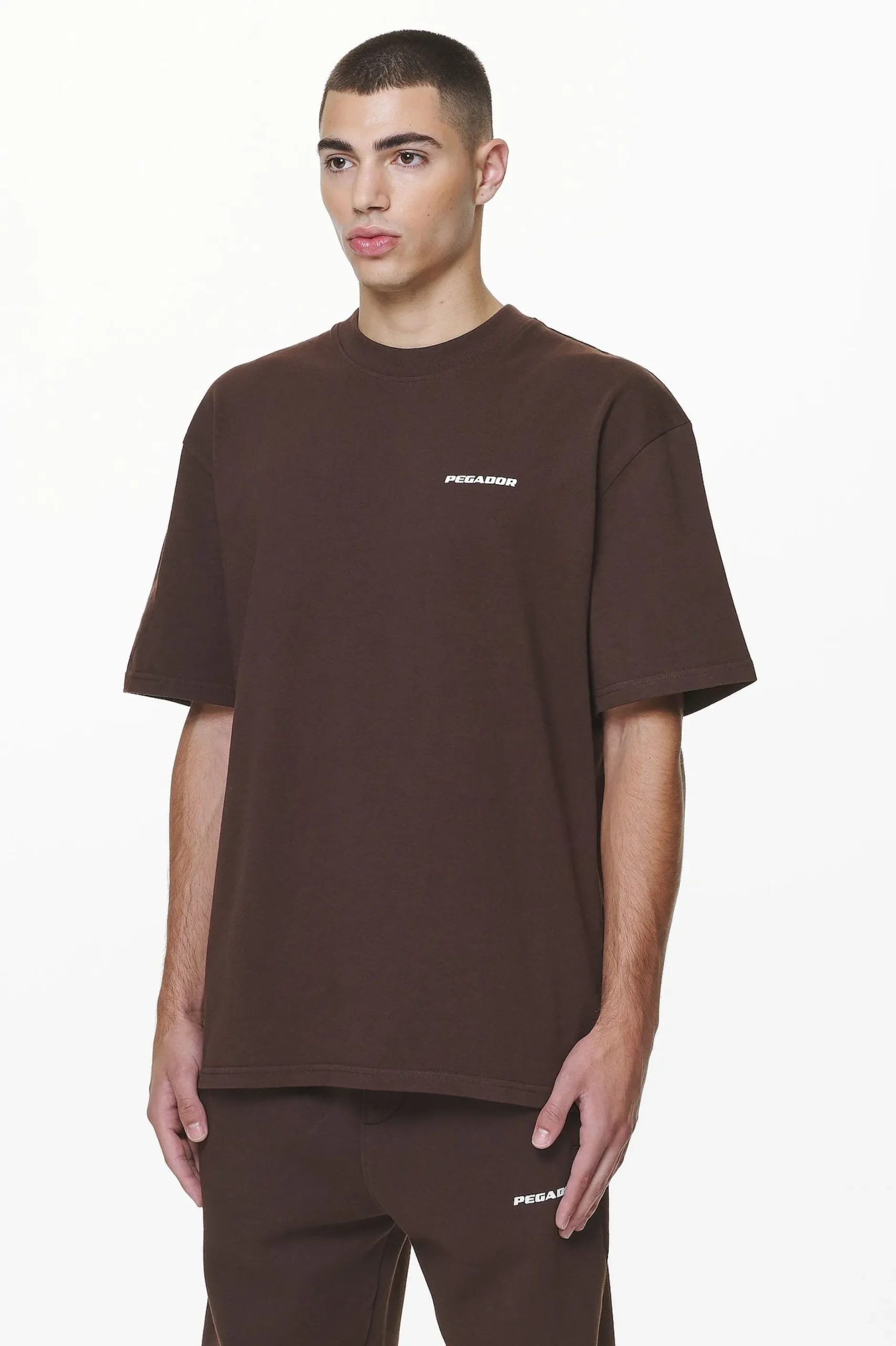 Pegador Tees|Logo Oversized Tee Gum Washed oak brown