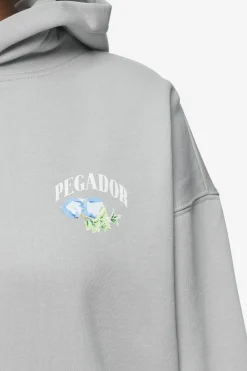 Pegador Hoodies|Lucia Oversized Hoodie Washed Sky Grey