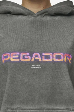 Pegador Hoodies|Lui Sprayed Oversized Hoodie Oil Dyed Deep Grey