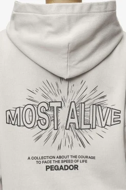 Pegador Hoodies|Nisa Oversized Hoodie Washed Moon Grey