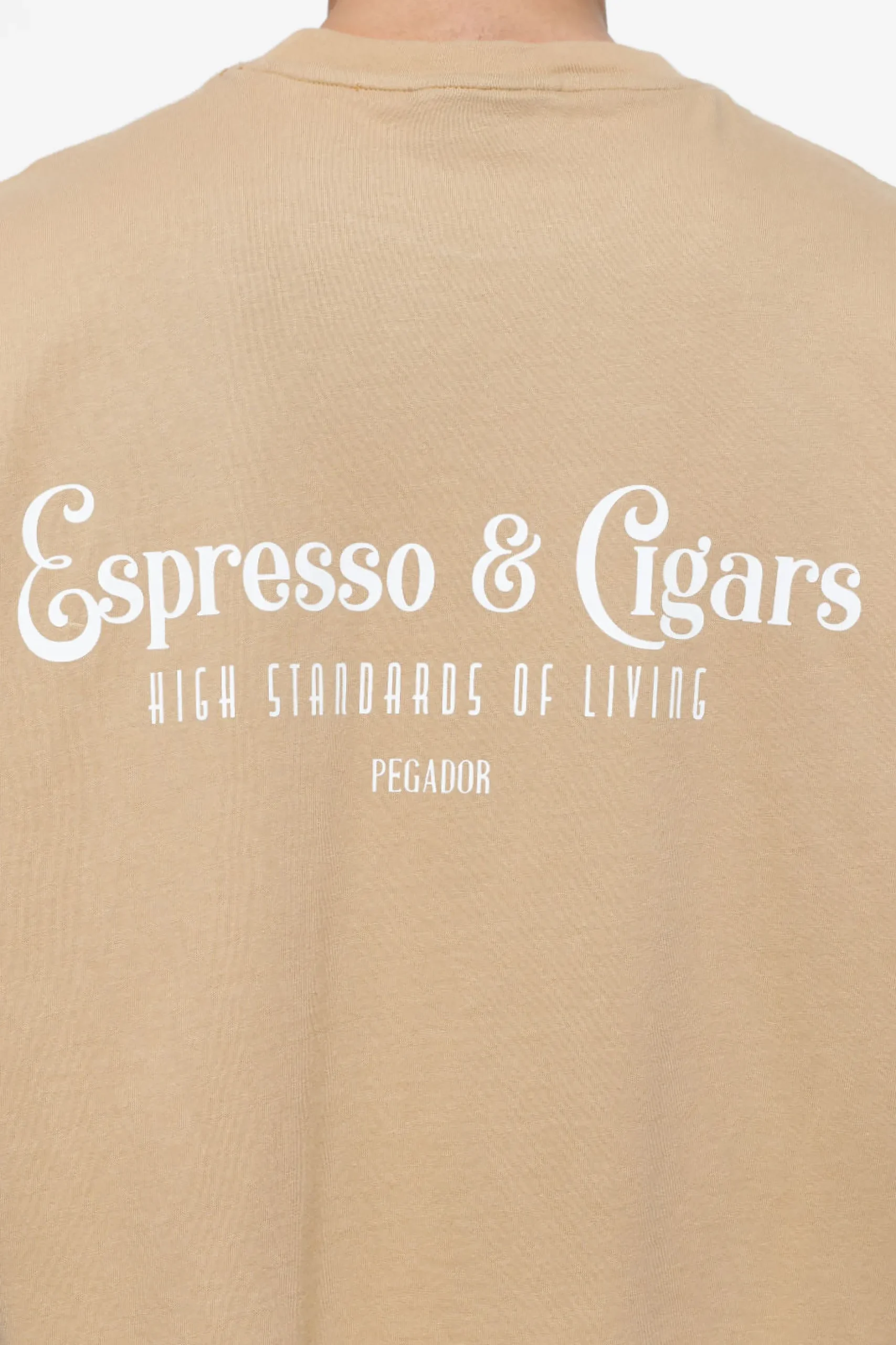 Pegador Tees|Racoon Boxy Tee Vintage Washed Espresso
