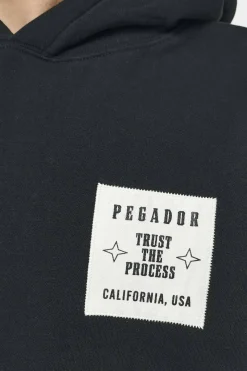Pegador Hoodies|Salal Oversized Hoodie Vintage Washed Black Ink