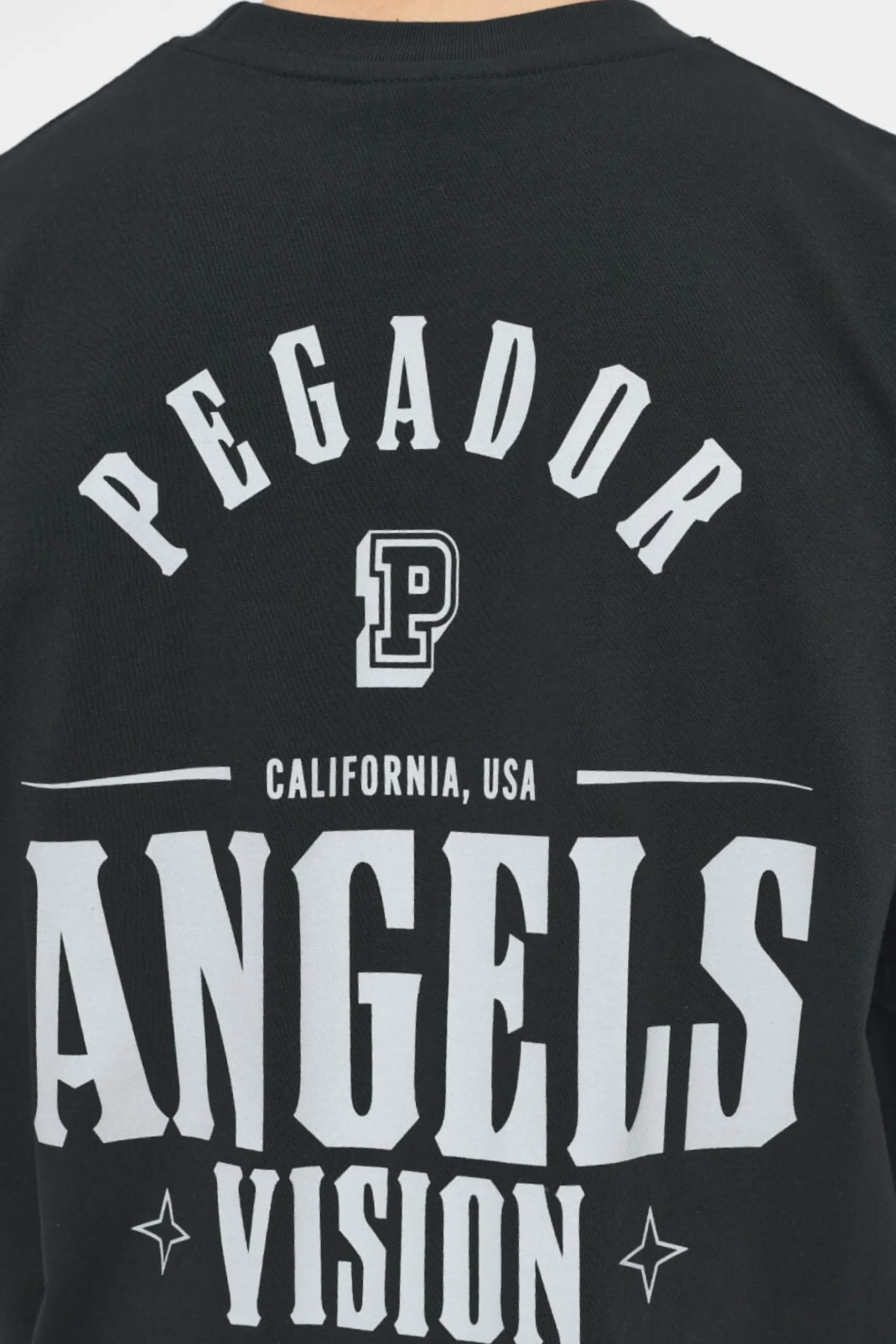 Pegador Tees|Salal Oversized Tee Vintage Washed Black Ink