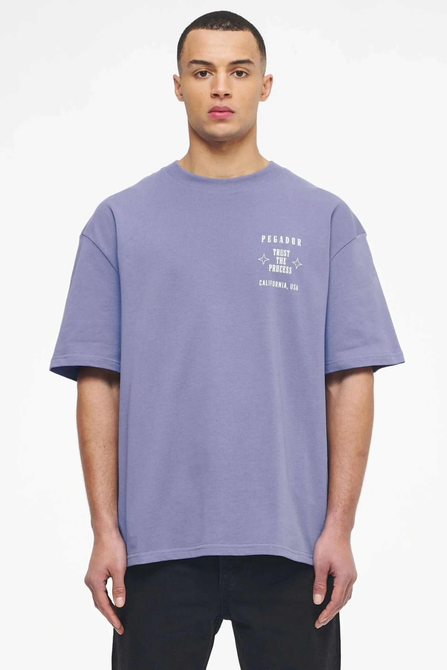 Pegador Tees|Salal Oversized Tee Vintage Washed Magic Violet