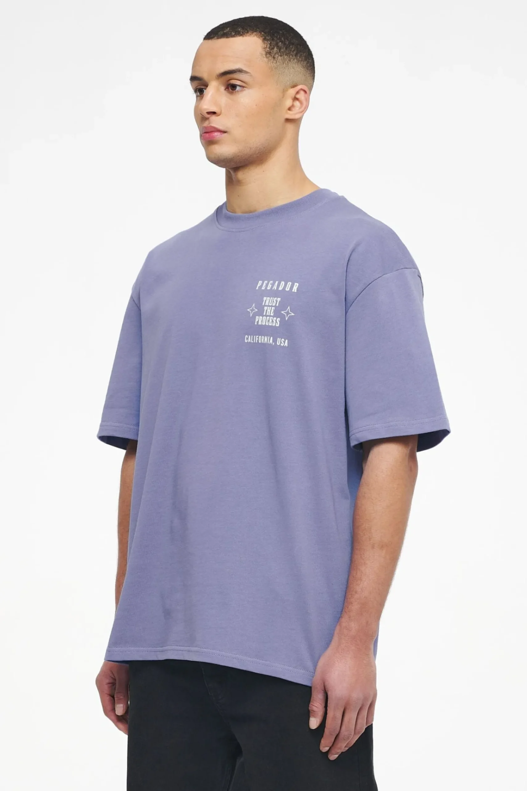 Pegador Tees|Salal Oversized Tee Vintage Washed Magic Violet