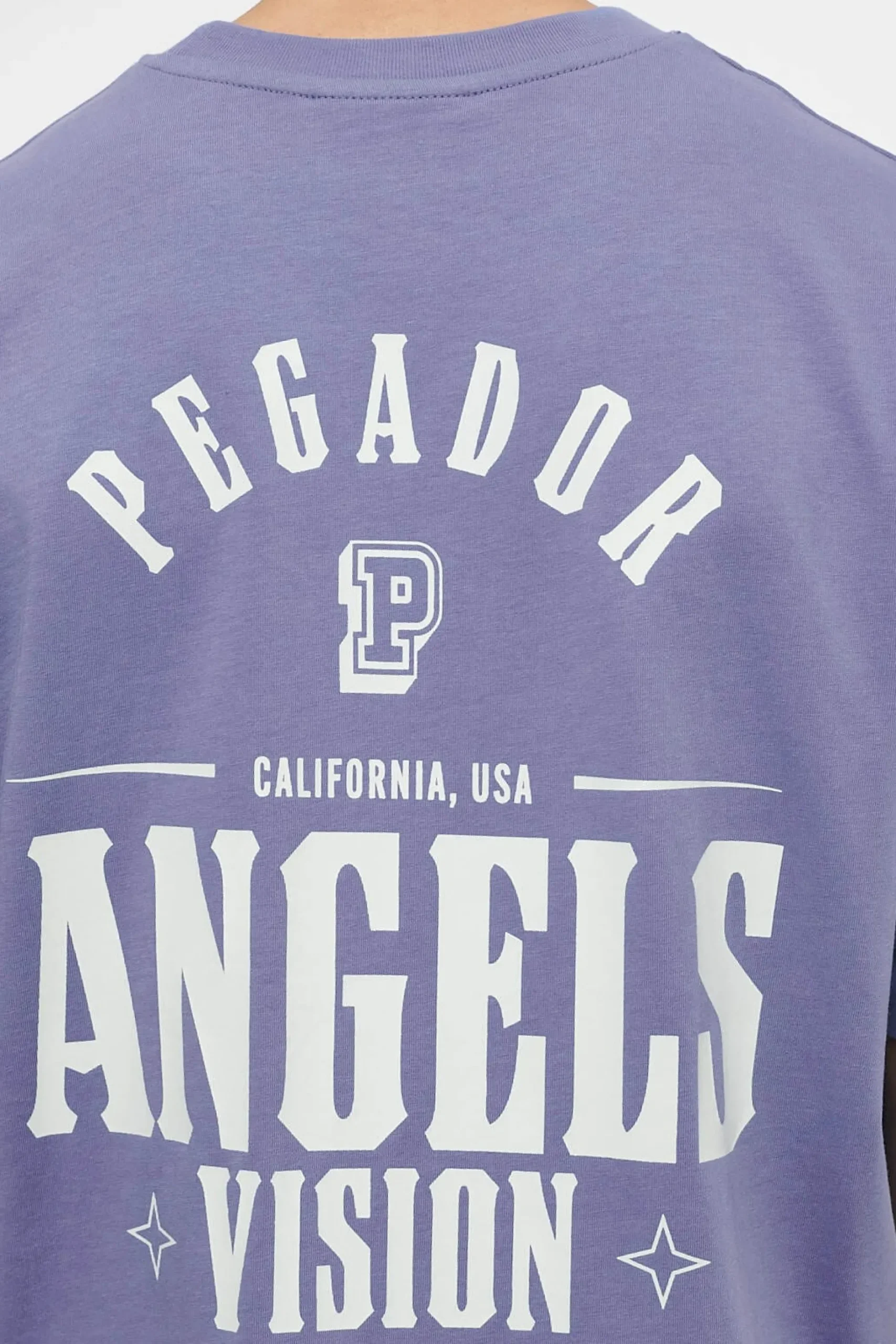 Pegador Tees|Salal Oversized Tee Vintage Washed Magic Violet