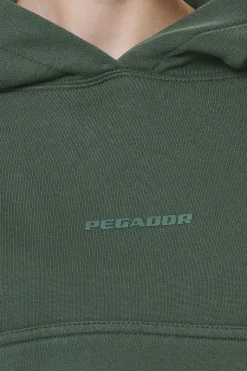 Pegador Hoodies|Salita Oversized Cropped Hoodie Washed Sage Green Gum