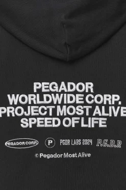 Pegador Hoodies|Sora Oversized Hoodie Washed Black
