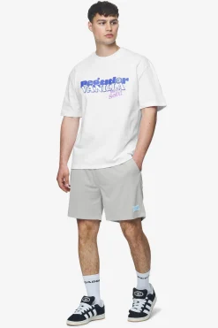 Pegador Shorts|Sutro Mesh Shorts Pearl grey