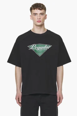 Pegador Tees|Trafford Raglan Boxy Tee Vintage Washed Onyx Black